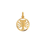 Load image into Gallery viewer, 9ct Gold Cancer Zodiac Necklace