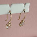 Load image into Gallery viewer, 9ct Gold CZ Drop Long Hook Earrings