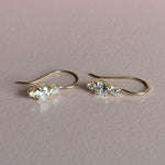 Load image into Gallery viewer, 9ct Gold CZ Drop Long Hook Earrings