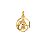 Load image into Gallery viewer, 9ct Gold Aquarius Zodiac Necklace