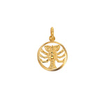 Load image into Gallery viewer, 9ct Gold Cancer Zodiac Necklace
