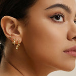 Load image into Gallery viewer, Gold Plated Twisted Wave Thick Hoop Earrings

