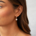 Load image into Gallery viewer, 9ct Gold CZ Halo Hook Drop Earrings
