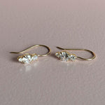 Load image into Gallery viewer, 9ct Gold CZ Drop Long Hook Earrings
