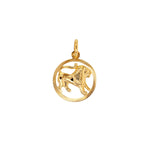 Load image into Gallery viewer, 9ct Gold Leo Zodiac Necklace
