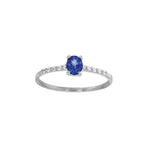 Load image into Gallery viewer, 18ct White Gold Sapphire &amp; Diamond Ring
